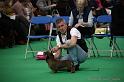 Crufts2011_2 690